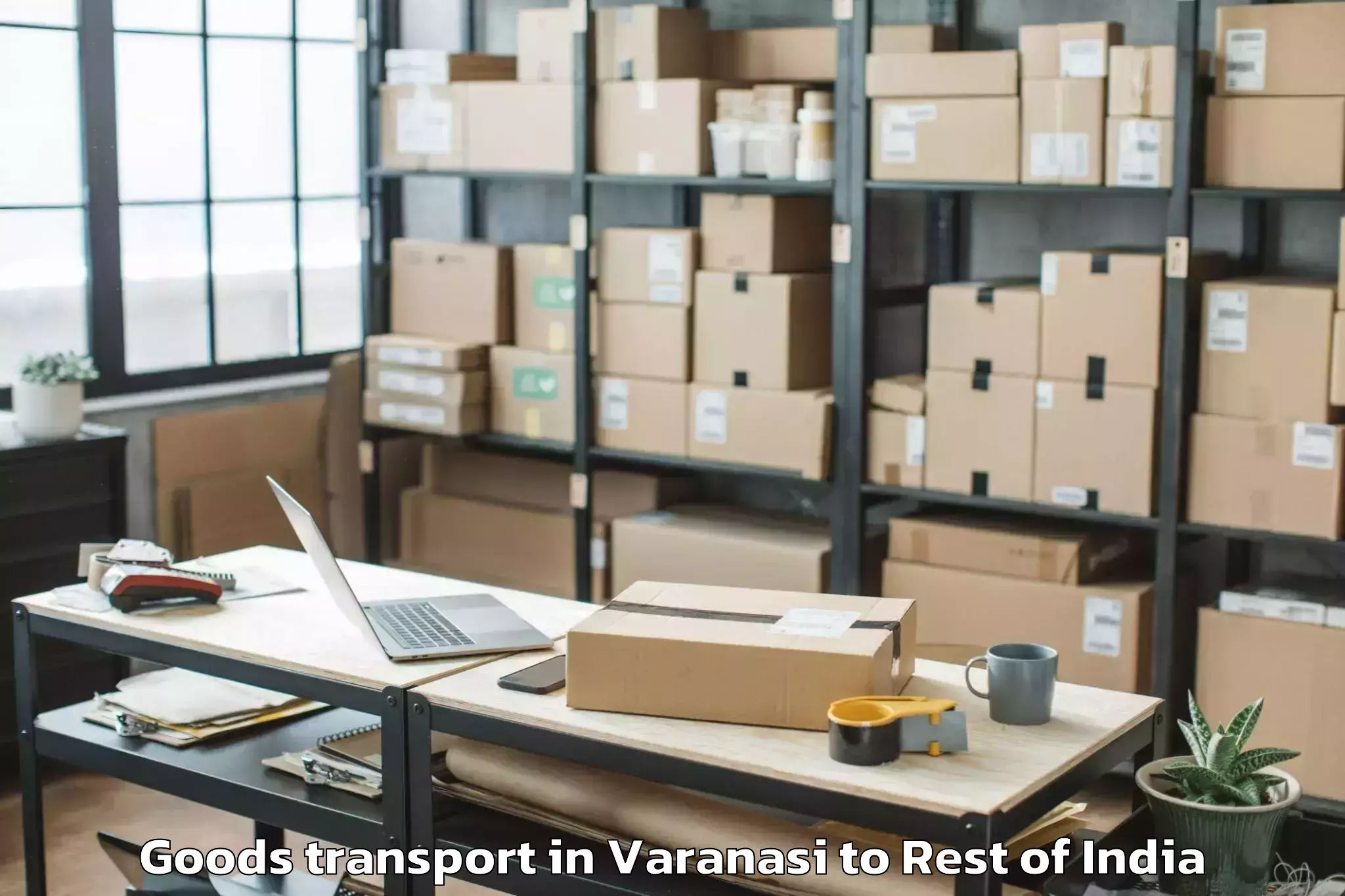 Affordable Varanasi to Leh Goods Transport